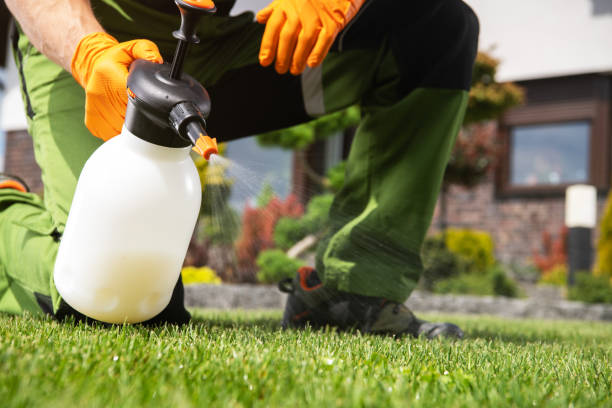 Best Local Pest Control Services  in Newton, KS