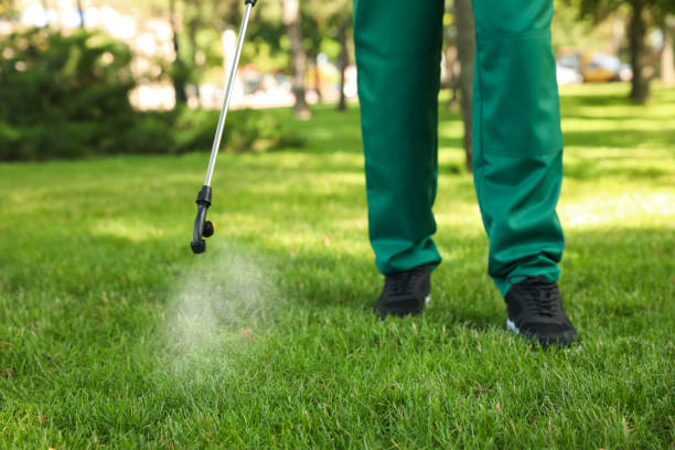 Best Ant Control Services  in Newton, KS