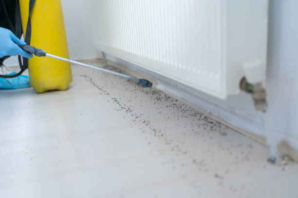Best Exterminator Services  in Newton, KS