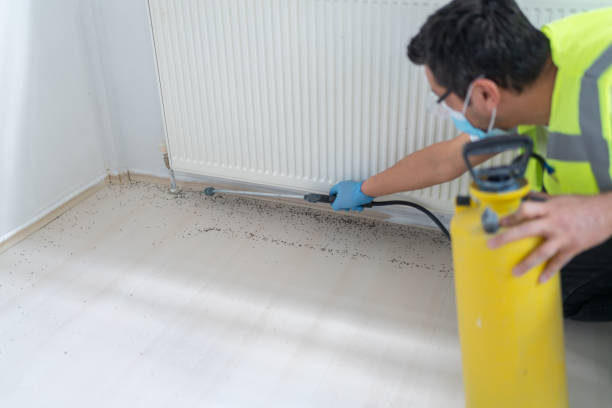 Best Bed Bug Extermination  in Newton, KS