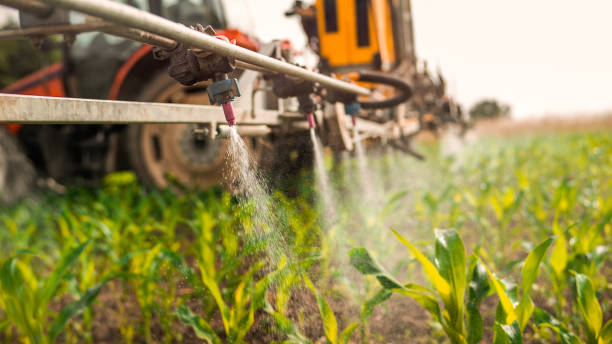 Best Mosquito Control Services  in Newton, KS